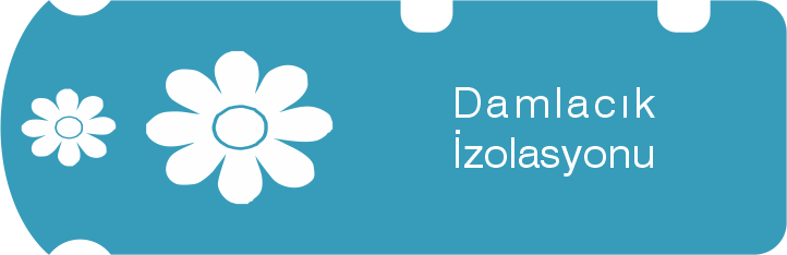 #hasta_izolasyon_tabelası, #nadir_dülgeroğlu, #signemed, #patient_room_sign, #izolasyon_tabelası, sekme03